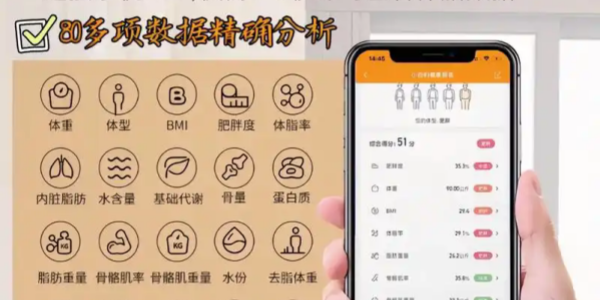 安卓体脂秤app推荐
