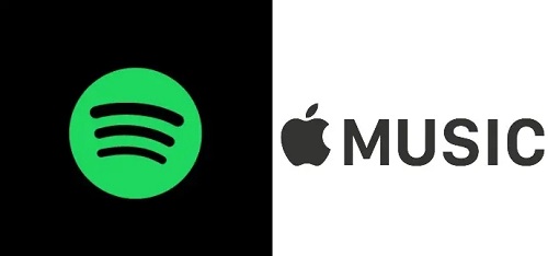 spotify怎么读