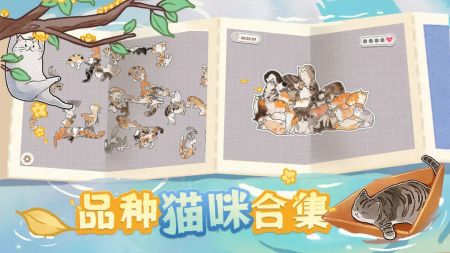 挤在一起的猫猫免费公测版2