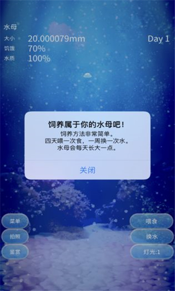 养育水母的治愈游戏截图1