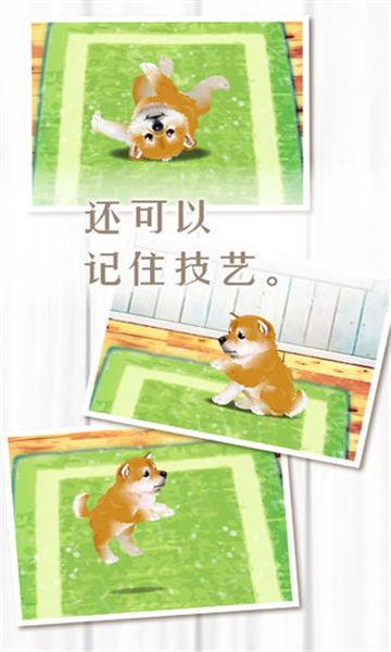 养育柴犬的治愈截图1