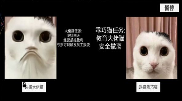 猫猫惊魂夜截图1