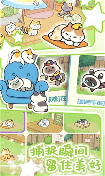 地铁遇见猫最新版截图3