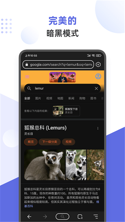 狐猴浏览器app截图1