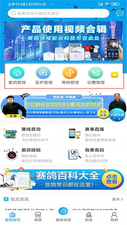 爱鸽者app截图1