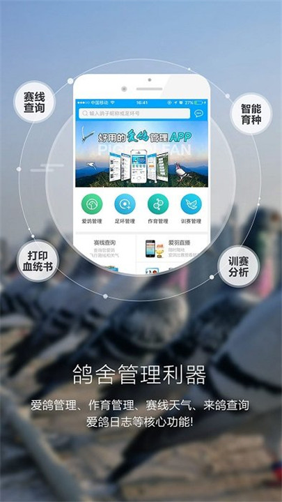 爱鸽者app截图3