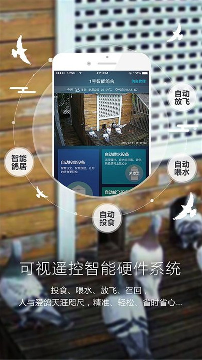 爱鸽者app截图5