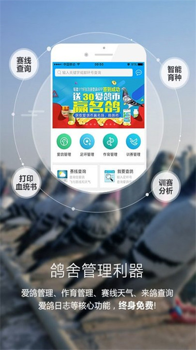 爱鸽者app截图4