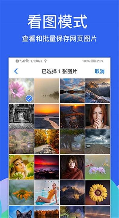 alook浏览器截图4