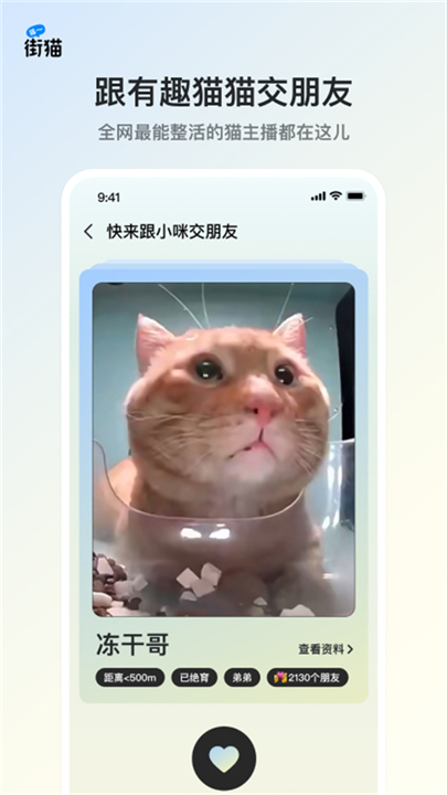 哈啰街猫App下载