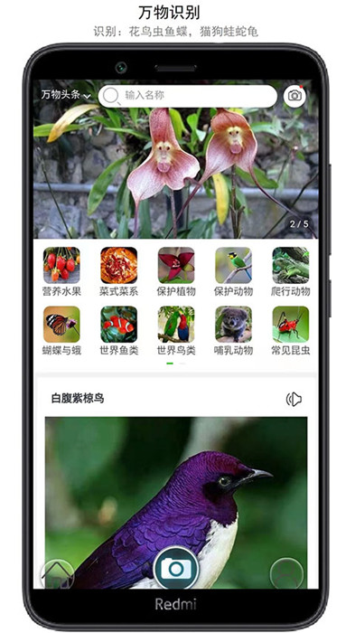 万物识别app截图1