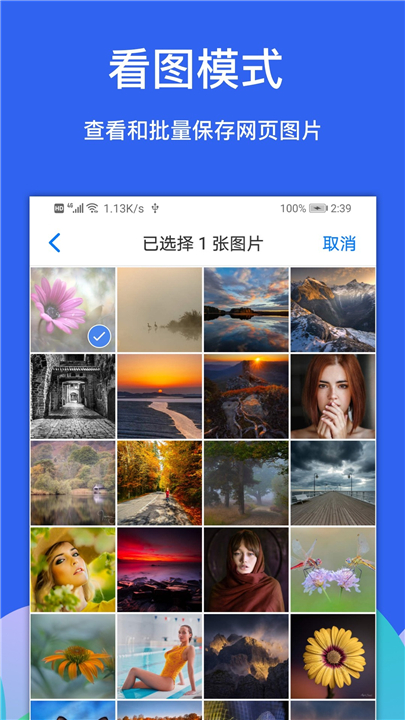 Alook浏览器APP截图2