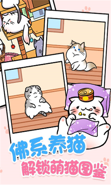 猫咪公寓最新版截图2