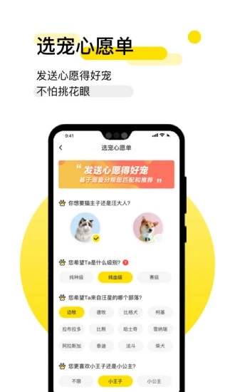 共宠app安卓版截图3