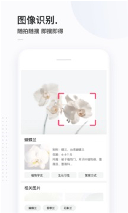 简单搜索APP截图1