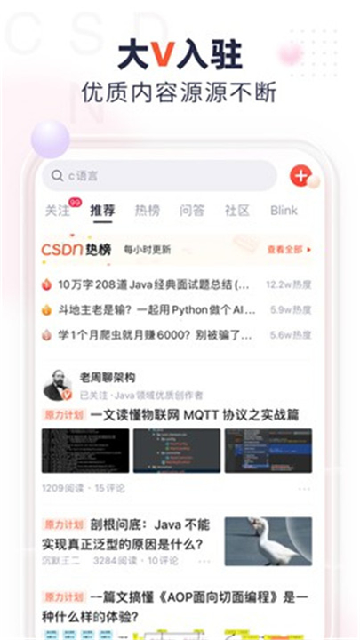 CSDN截图4