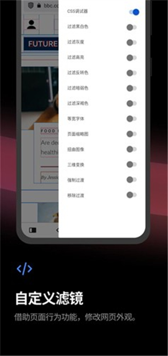 Vivaldi浏览器截图1