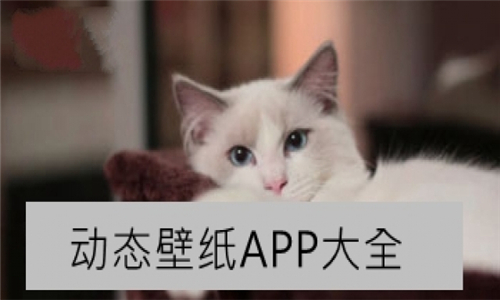 动态壁纸APP