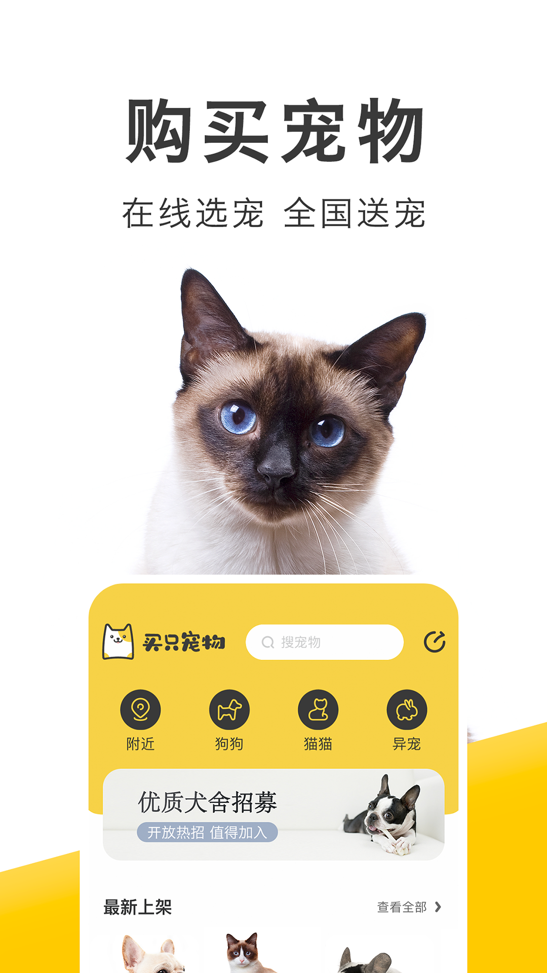 买只宠物最新版截图3