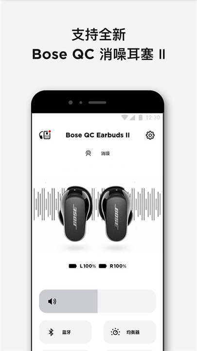 Bose Music截图3