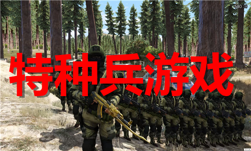 特种兵系列