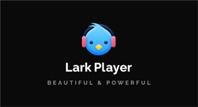 LarkPlayer