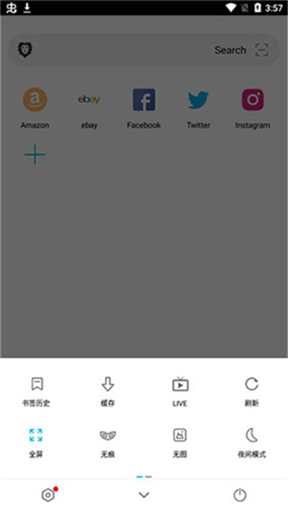 黑狮浏览器截图3