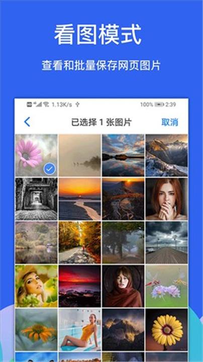 Alook浏览器安卓版截图5