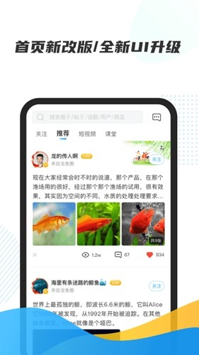 龙巅app截图5