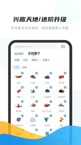 龙巅app截图4