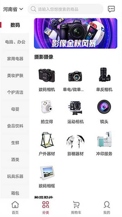 云书网App手机版截图4