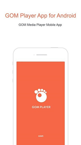 GOMPlayer中文版截图4