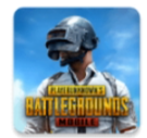 pubg