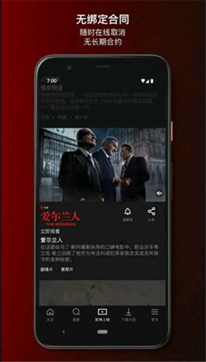 Netflix截图3