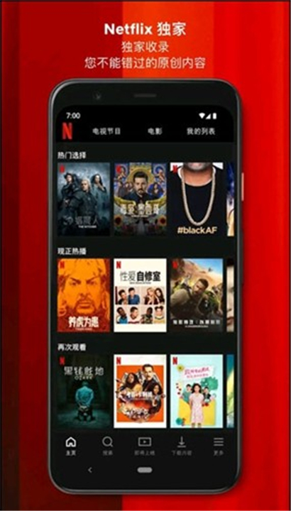 Netflix截图5