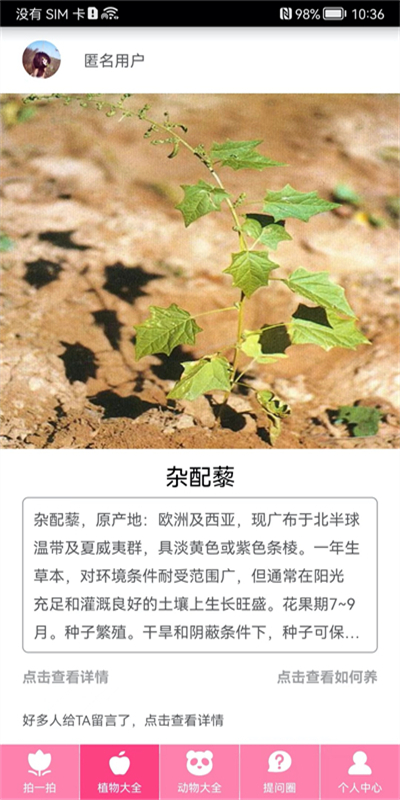 拍照识物扫一扫软件截图3