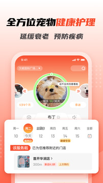 宠物家app截图4