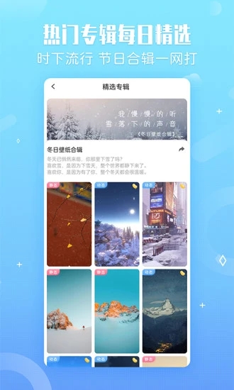 小鸟壁纸app截图1