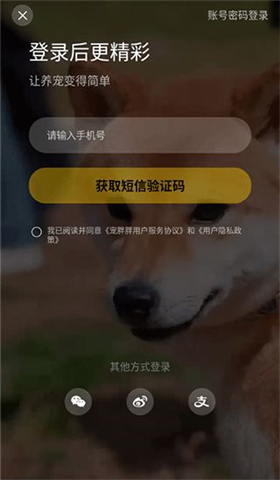 宠胖胖app下载