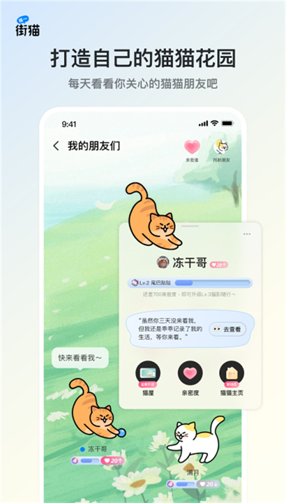 哈啰街猫旧版本截图2