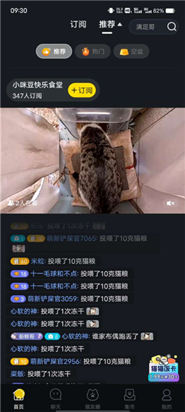 哈啰街猫旧版本