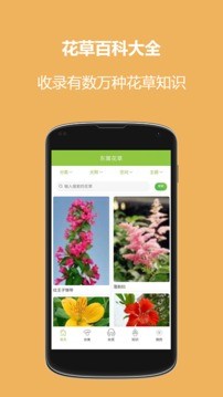 东篱花草app截图3