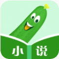 丝瓜小说app