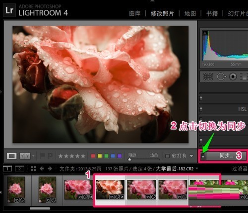 lightroom2024