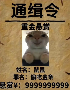 猫猫地铁逃生