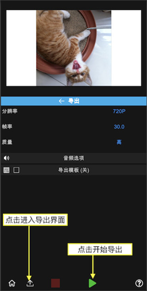 nodevideo软件下载