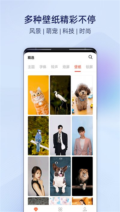 vivo主题商店最新版本截图5