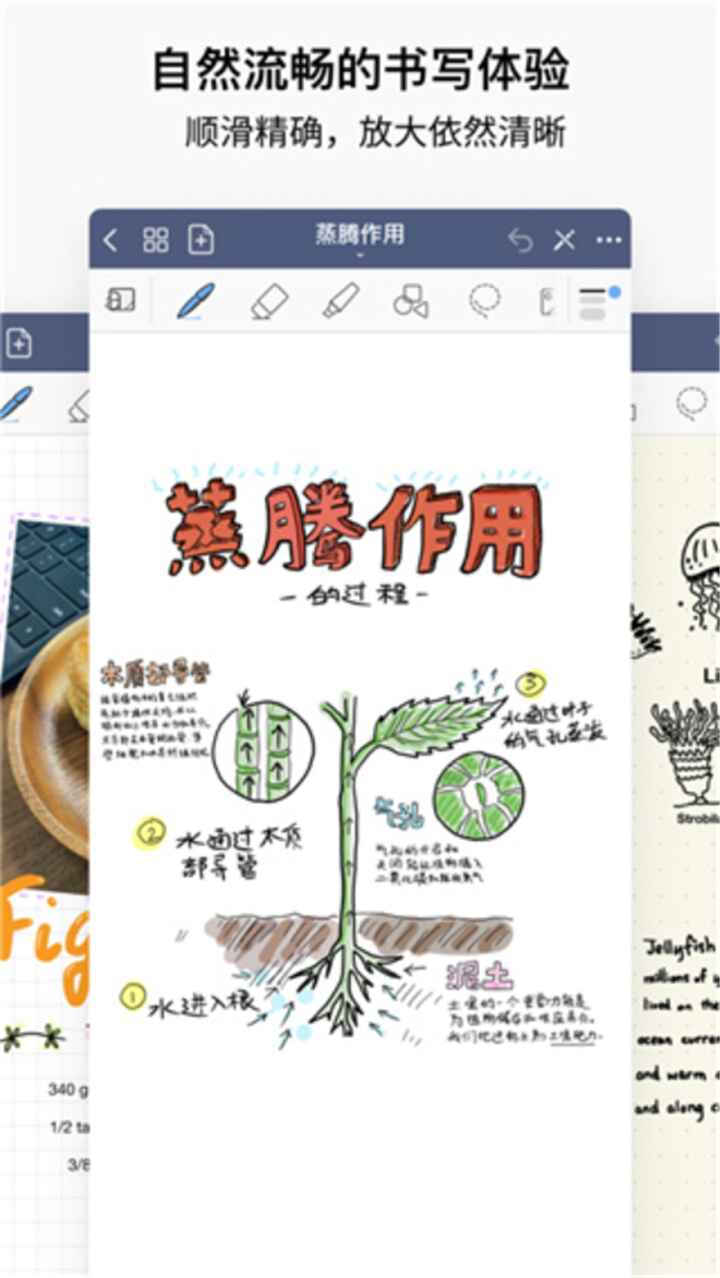 goodnotes手机版截图2