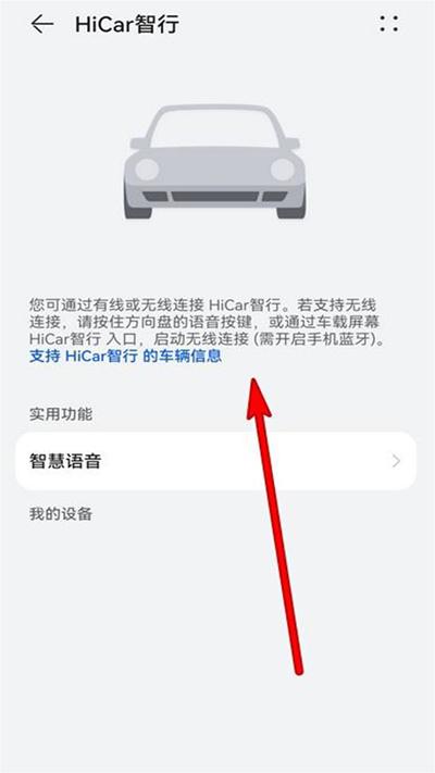 Hicar智行车机版截图2