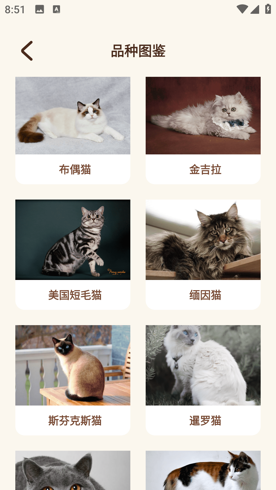 Peppycat猫语翻译器截图3